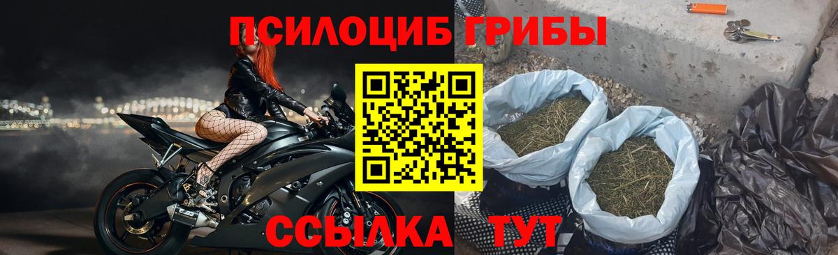 Галлюциногенные грибы ЛСД  Вход с VPN  Красноармейск 